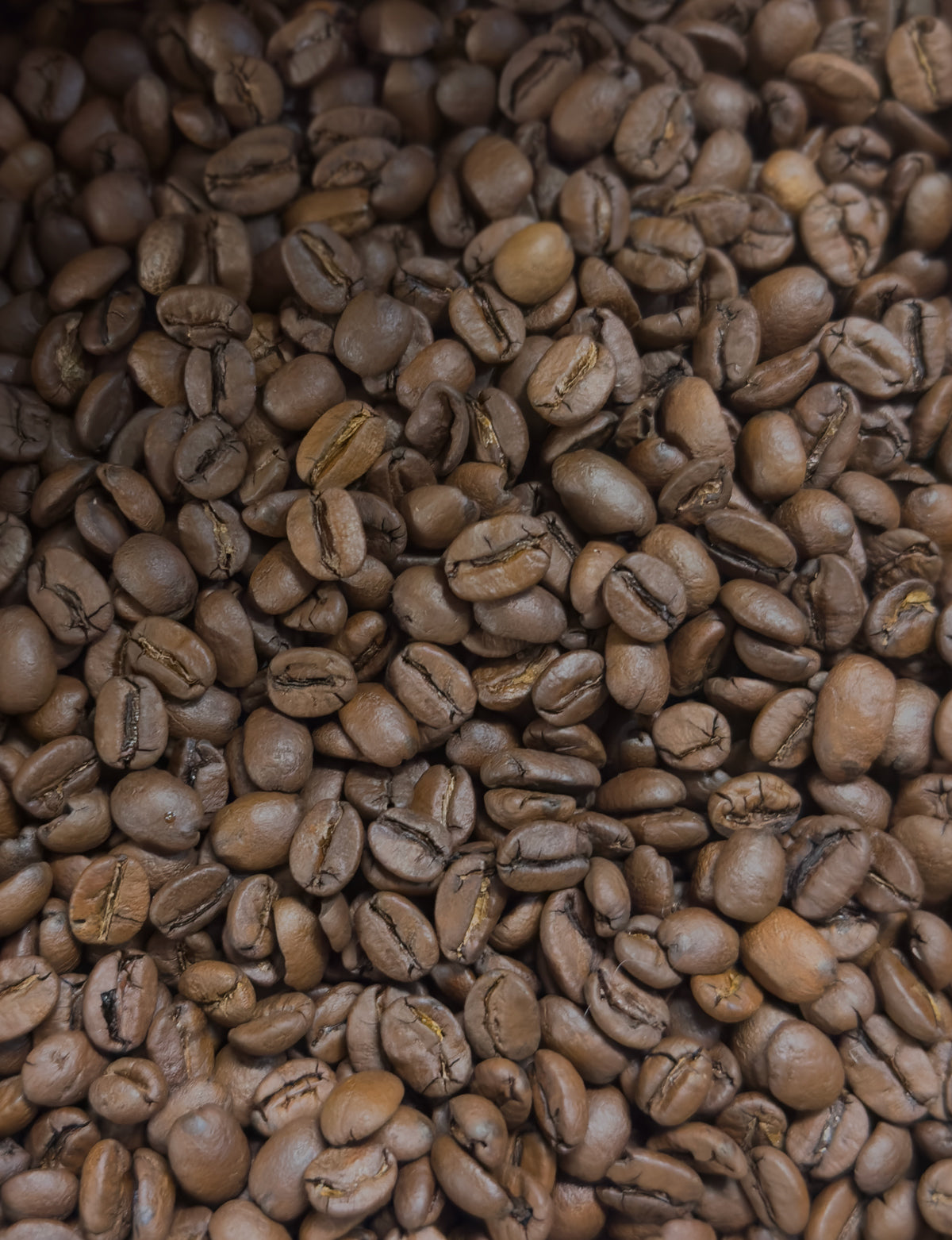 Brazil Mogiana Fresh Roasted Coffee