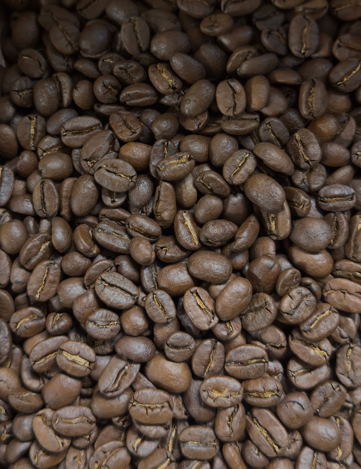 Roaster's Choice Subscription