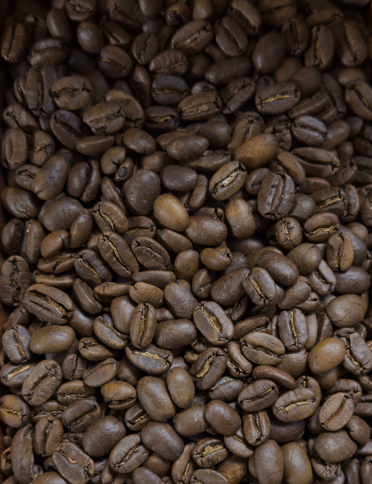 Sumatra Fresh Roasted Coffee Beans Minneapolis