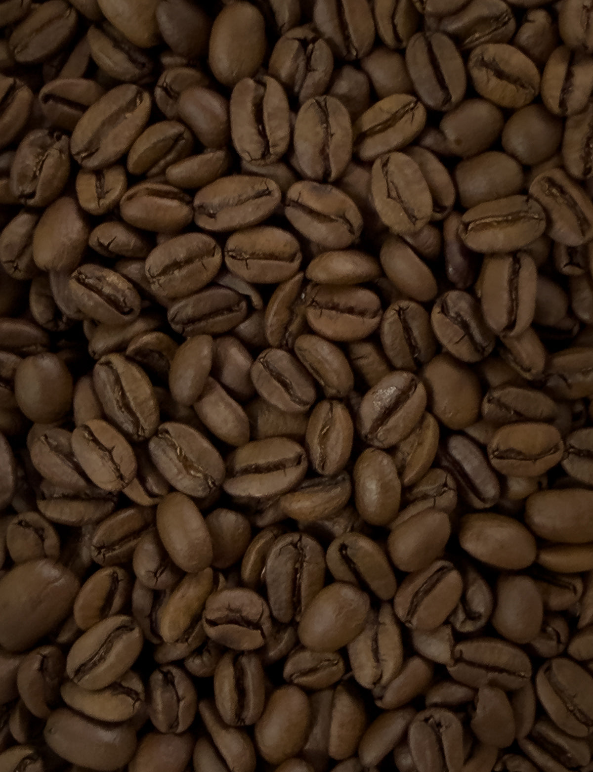 Guatemala Geisha Limited Edition