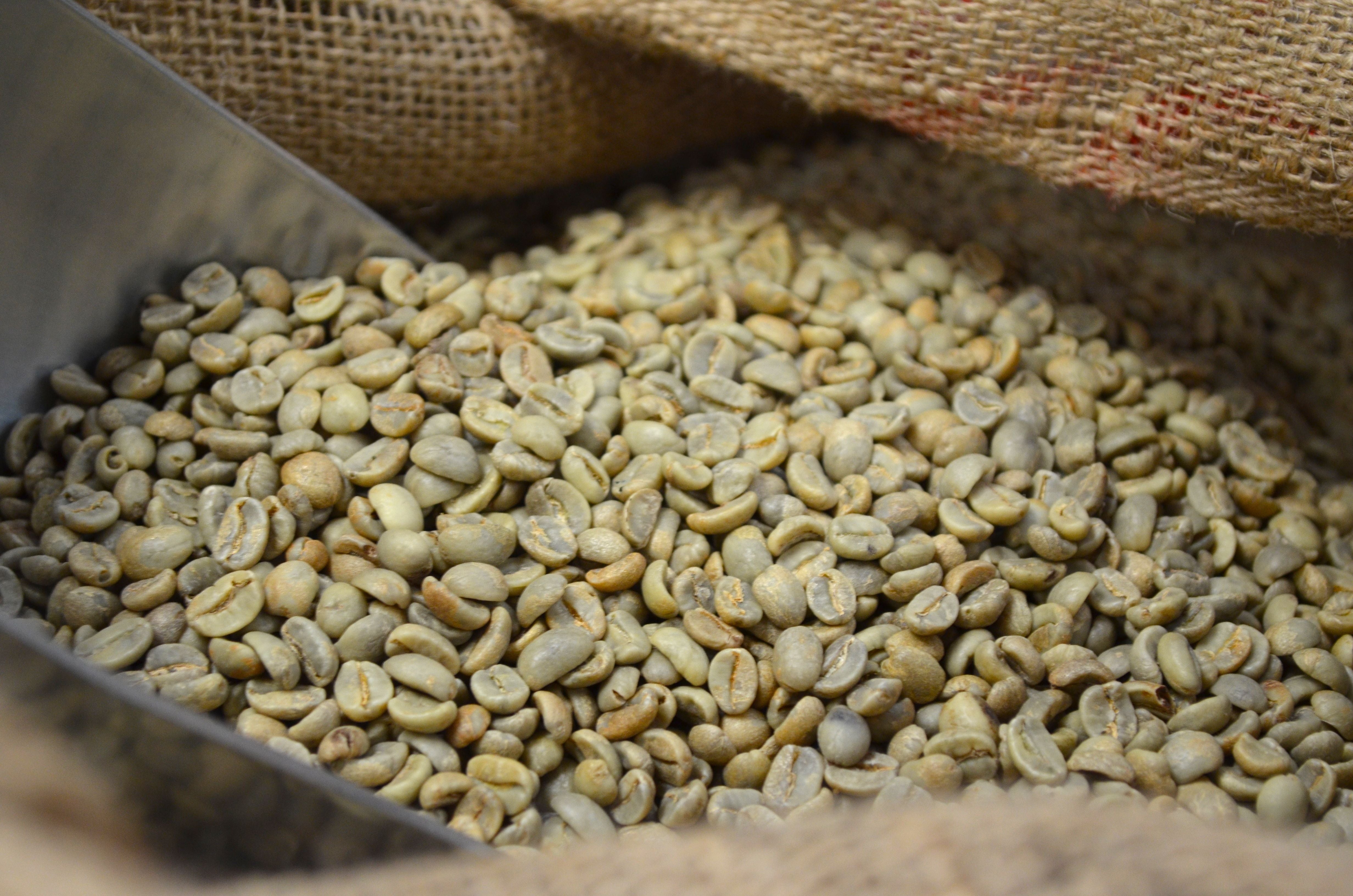 Fair Trade Organic Honduras Copan
