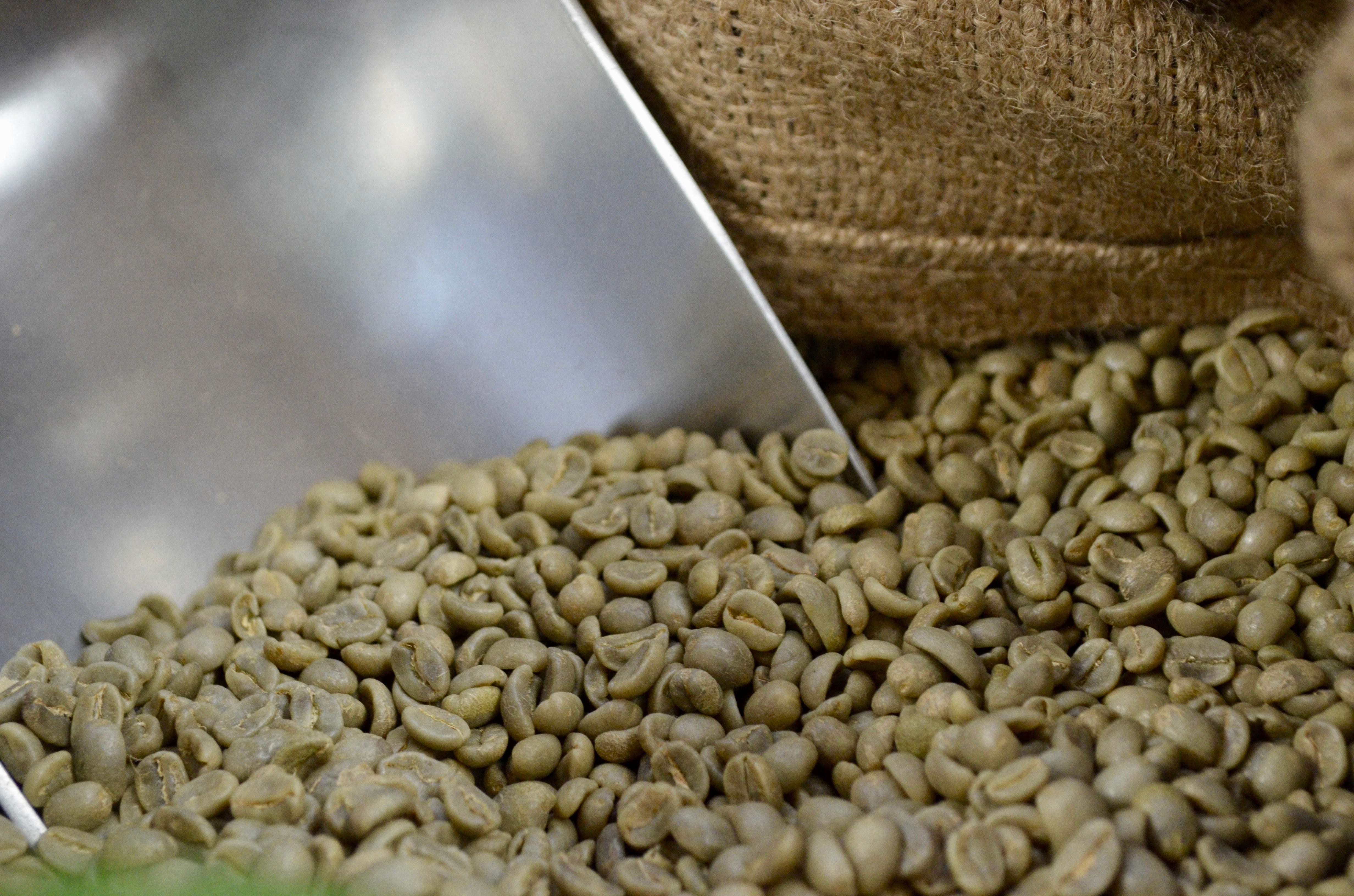 Costa Rica Strictly Hard Bean